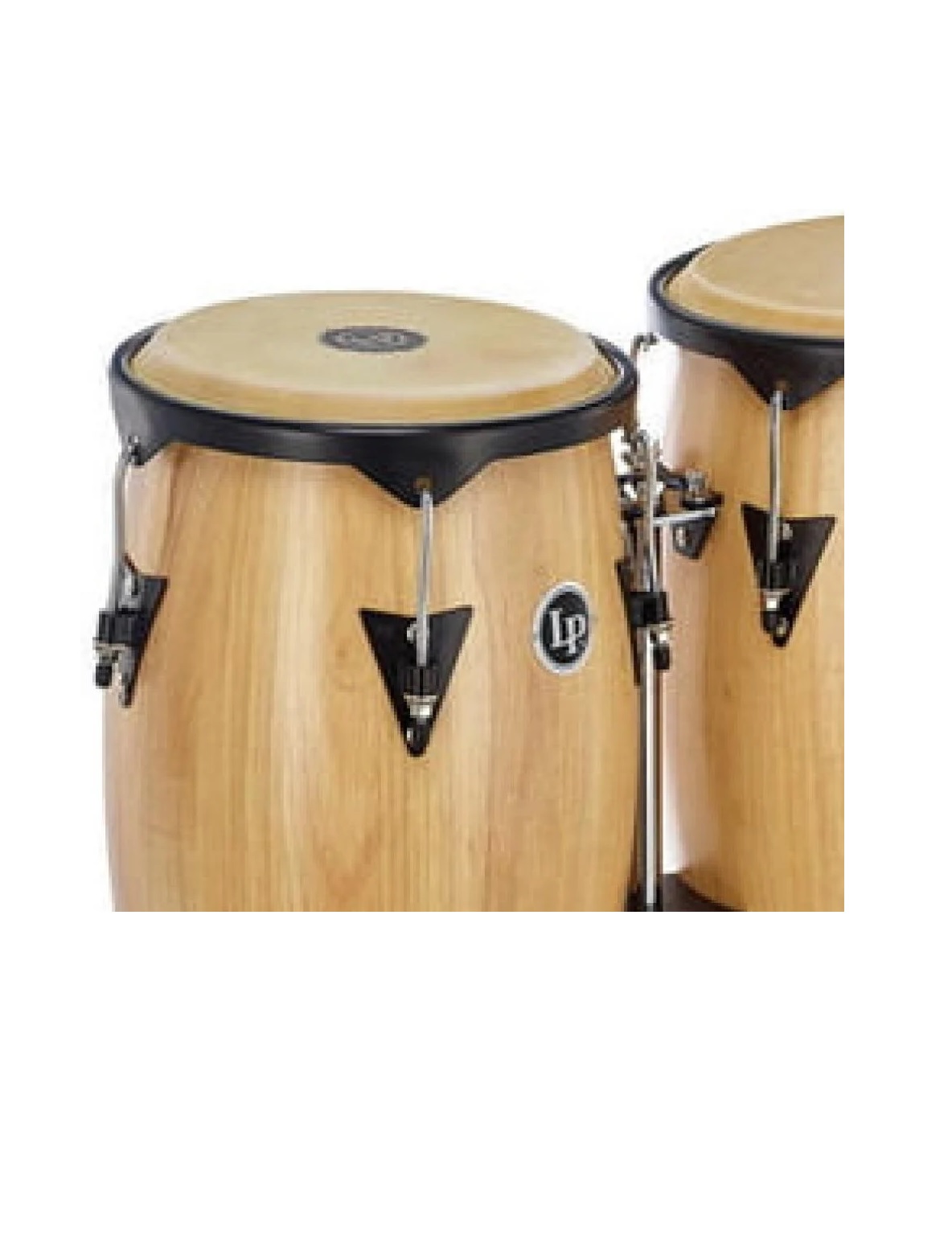 Par Conga LP Aspire com estante Tamborim de Ouro João Pessoa